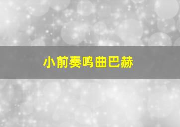 小前奏鸣曲巴赫