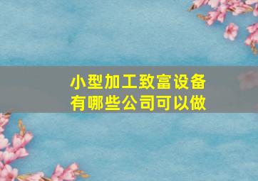 小型加工致富设备有哪些公司可以做