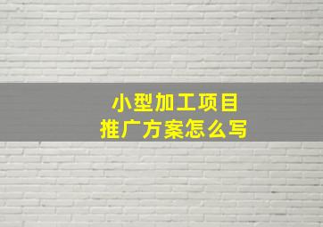 小型加工项目推广方案怎么写