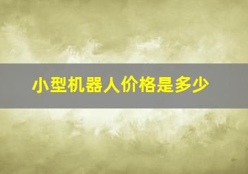 小型机器人价格是多少