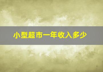 小型超市一年收入多少