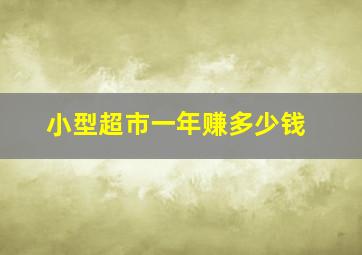 小型超市一年赚多少钱