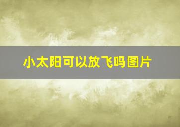 小太阳可以放飞吗图片