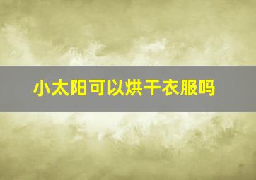 小太阳可以烘干衣服吗