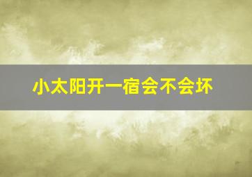 小太阳开一宿会不会坏