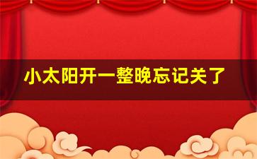 小太阳开一整晚忘记关了