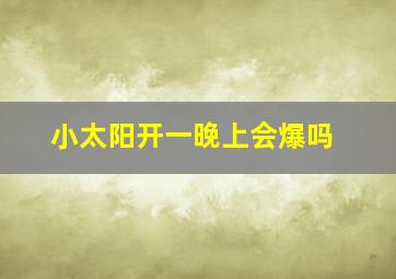 小太阳开一晚上会爆吗