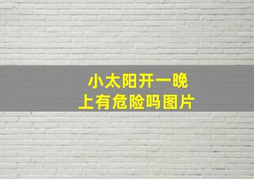 小太阳开一晚上有危险吗图片