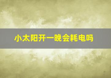 小太阳开一晚会耗电吗