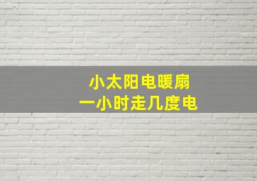 小太阳电暖扇一小时走几度电