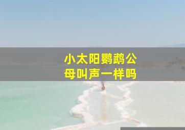 小太阳鹦鹉公母叫声一样吗