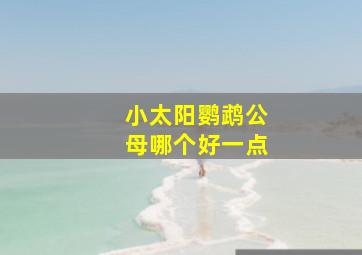 小太阳鹦鹉公母哪个好一点