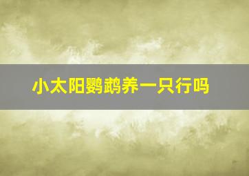 小太阳鹦鹉养一只行吗