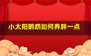 小太阳鹦鹉如何养胖一点