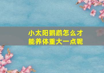 小太阳鹦鹉怎么才能养体重大一点呢