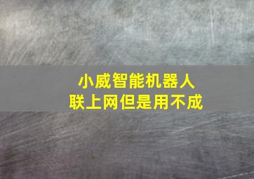 小威智能机器人联上网但是用不成