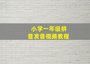 小学一年级拼音发音视频教程