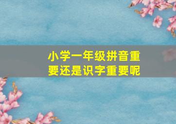 小学一年级拼音重要还是识字重要呢