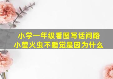 小学一年级看图写话问路小萤火虫不睡觉是因为什么