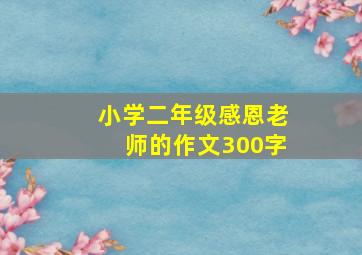 小学二年级感恩老师的作文300字