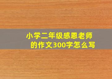 小学二年级感恩老师的作文300字怎么写