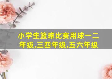 小学生篮球比赛用球一二年级,三四年级,五六年级