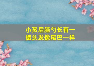 小孩后脑勺长有一撮头发像尾巴一样