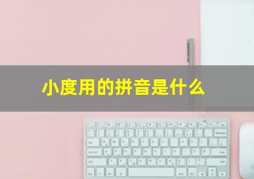 小度用的拼音是什么