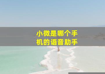 小微是哪个手机的语音助手