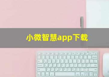 小微智慧app下载