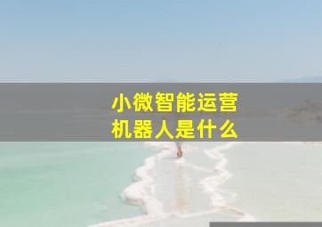 小微智能运营机器人是什么