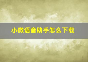 小微语音助手怎么下载