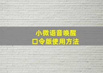 小微语音唤醒口令版使用方法