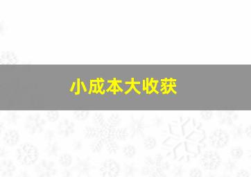 小成本大收获