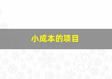 小成本的项目