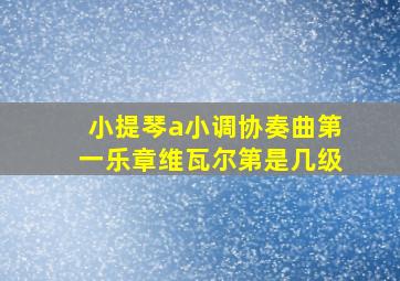 小提琴a小调协奏曲第一乐章维瓦尔第是几级