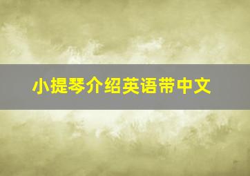 小提琴介绍英语带中文