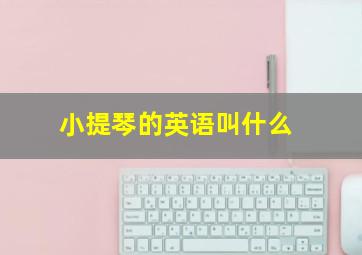 小提琴的英语叫什么