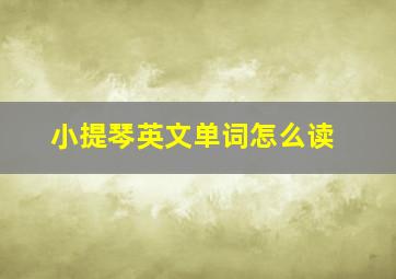 小提琴英文单词怎么读