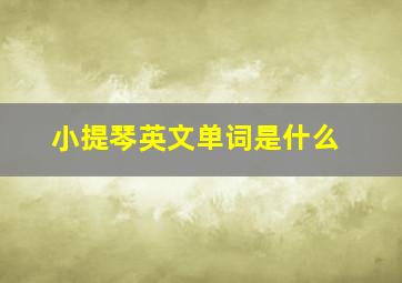 小提琴英文单词是什么