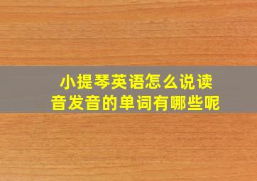 小提琴英语怎么说读音发音的单词有哪些呢