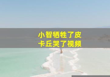 小智牺牲了皮卡丘哭了视频