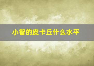 小智的皮卡丘什么水平