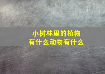 小树林里的植物有什么动物有什么