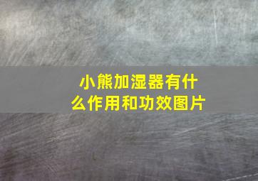 小熊加湿器有什么作用和功效图片