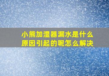 小熊加湿器漏水是什么原因引起的呢怎么解决