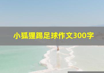 小狐狸踢足球作文300字