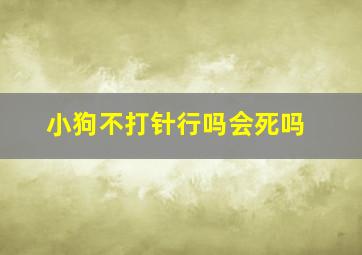 小狗不打针行吗会死吗