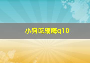 小狗吃辅酶q10