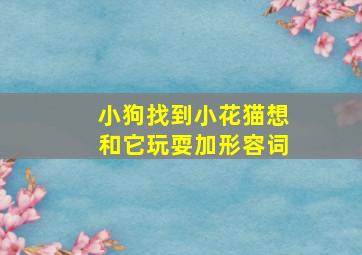 小狗找到小花猫想和它玩耍加形容词